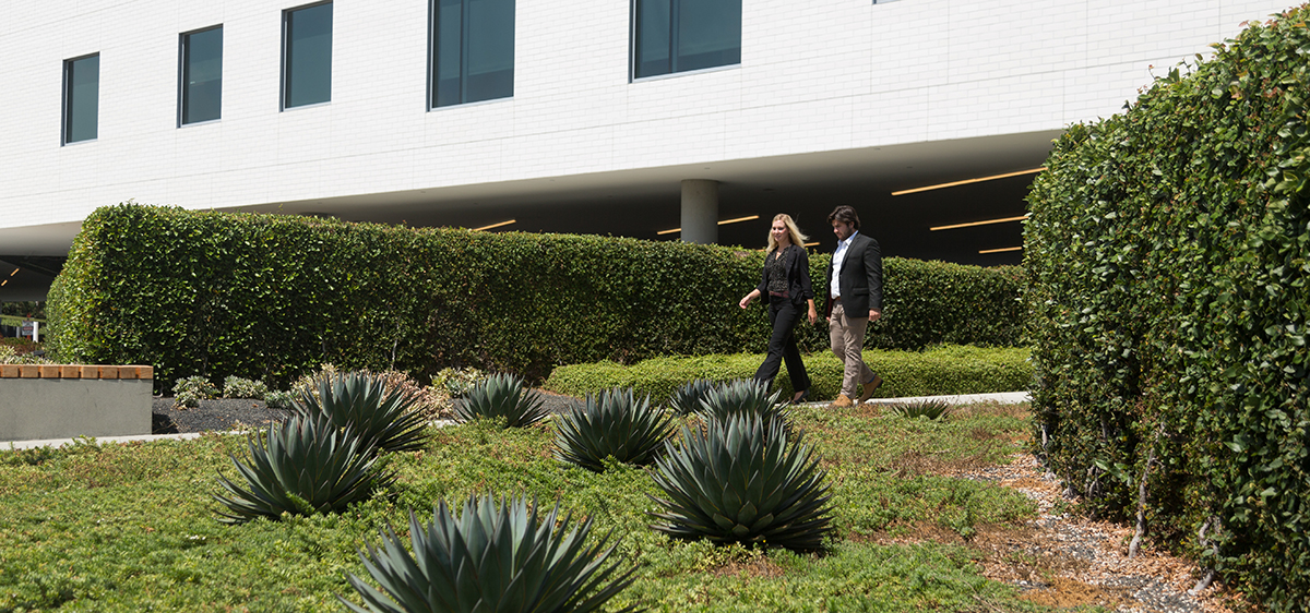 Two students in professional clothing, at a distance, walking down a path outside  in front of an office building.